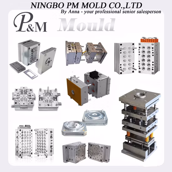 Plastic Mold Design&Making