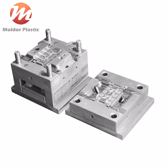 Plastic ABS/PP/Nylon/PC Auto Parts/Battery Box/Housing/Home/Office Appliances Plastic Injection Molding